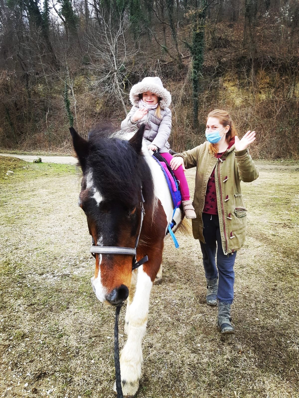 Terapije konjima
