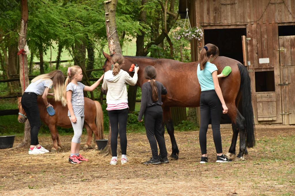 Konjički kamp„ 5 priča uz konjska bića“ 17.6.-21.6. 2019. godine – slike i sličice