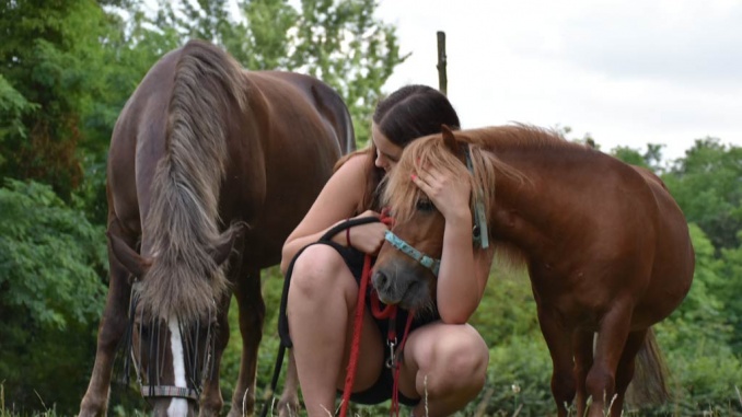 Druženje sa konjima