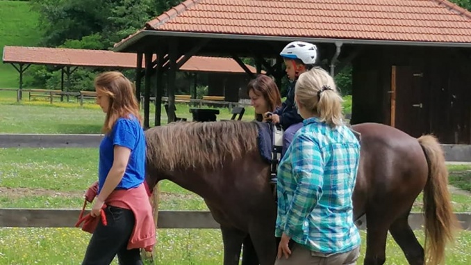 Terapija konjima